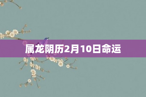 属龙阴历2月10日命运