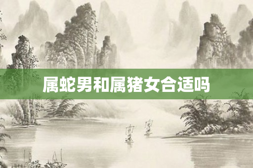 属蛇男和属猪女合适吗