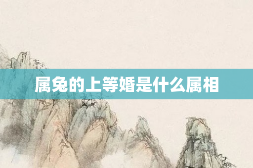 属兔的上等婚是什么属相