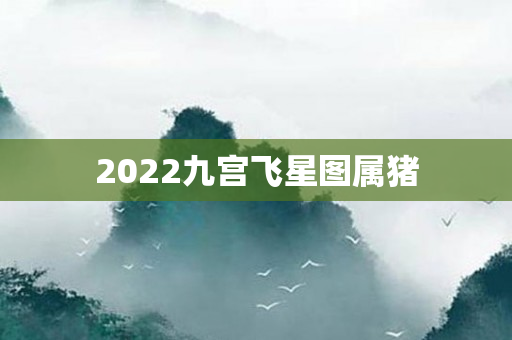 2022九宫飞星图属猪