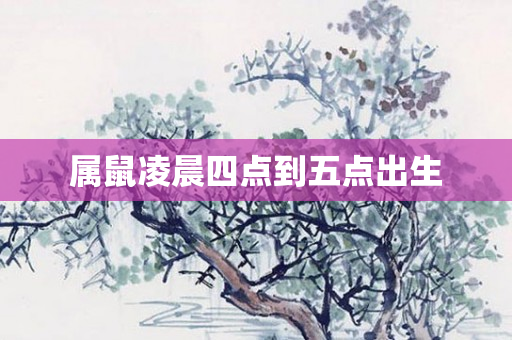 属鼠凌晨四点到五点出生