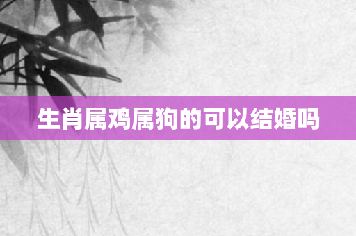 生肖属鸡属狗的可以结婚吗