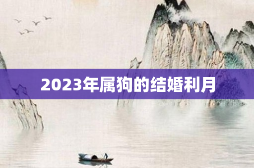 2023年属狗的结婚利月