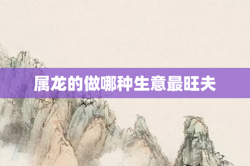 属龙的做哪种生意最旺夫