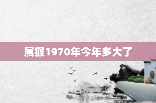 属猴1970年今年多大了