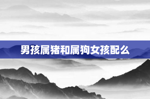 男孩属猪和属狗女孩配么