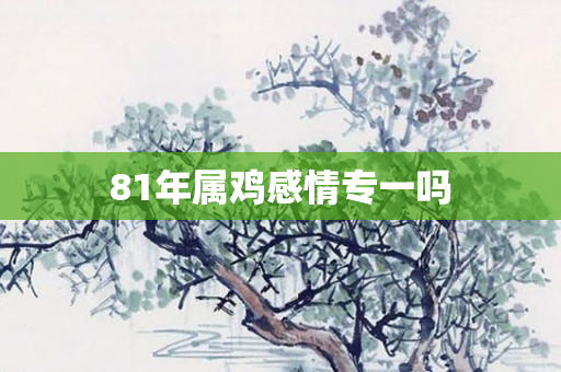 81年属鸡感情专一吗