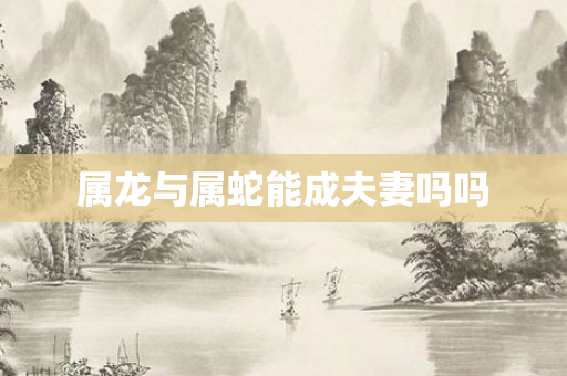 属龙与属蛇能成夫妻吗吗