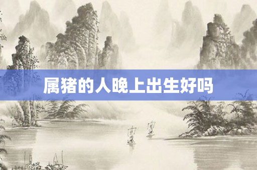属猪的人晚上出生好吗