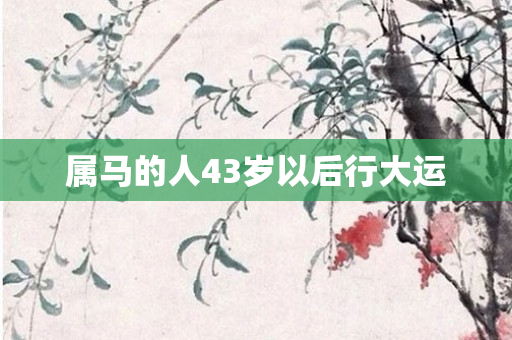 属马的人43岁以后行大运