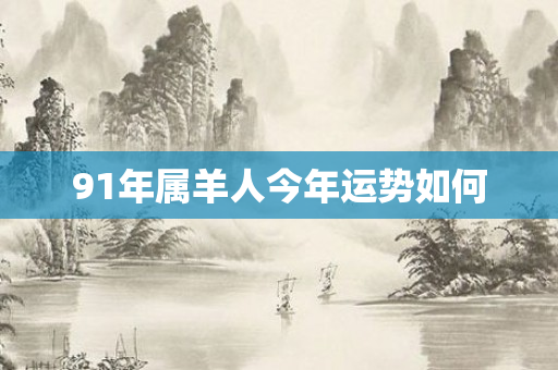 91年属羊人今年运势如何