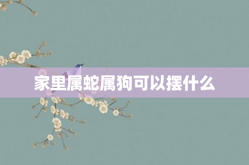 家里属蛇属狗可以摆什么