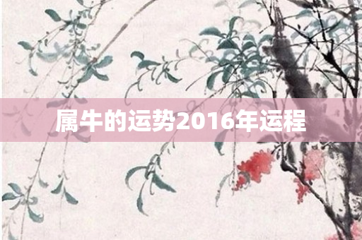 属牛的运势2016年运程