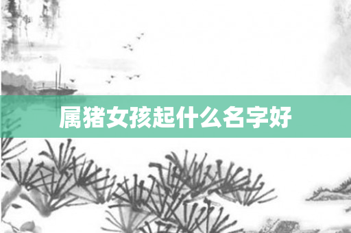 属猪女孩起什么名字好