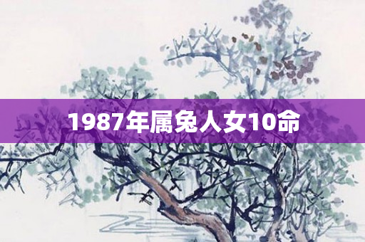 1987年属兔人女10命
