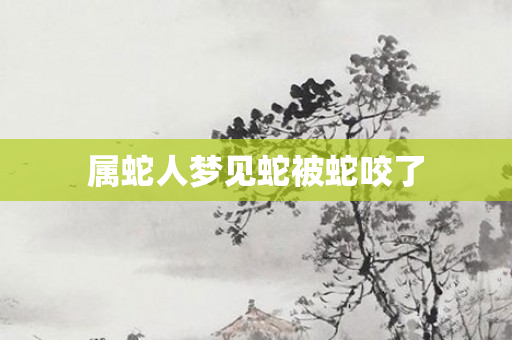 属蛇人梦见蛇被蛇咬了