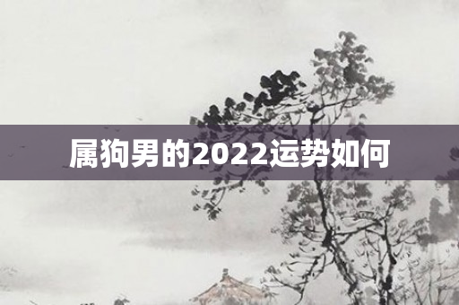属狗男的2022运势如何
