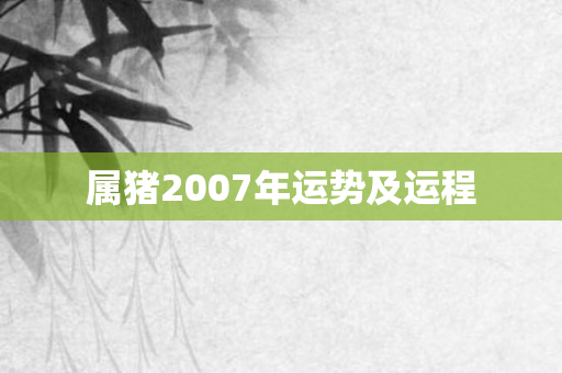 属猪2007年运势及运程