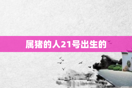 属猪的人21号出生的