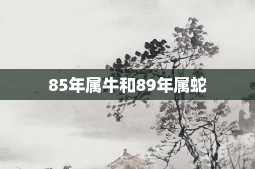 85年属牛和89年属蛇