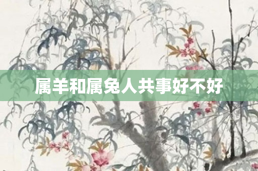 属羊和属兔人共事好不好