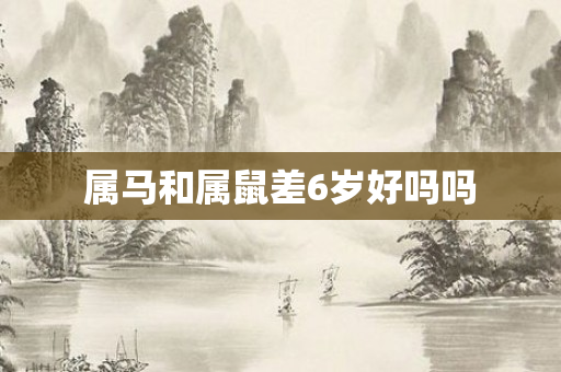 属马和属鼠差6岁好吗吗