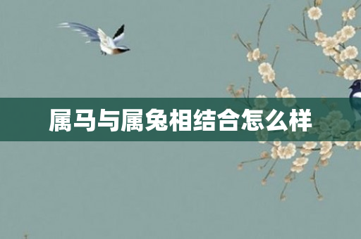 属马与属兔相结合怎么样