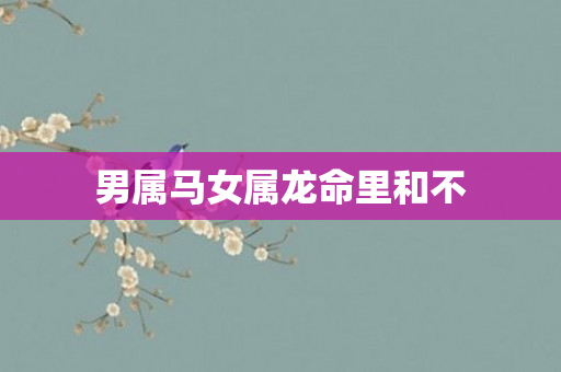男属马女属龙命里和不
