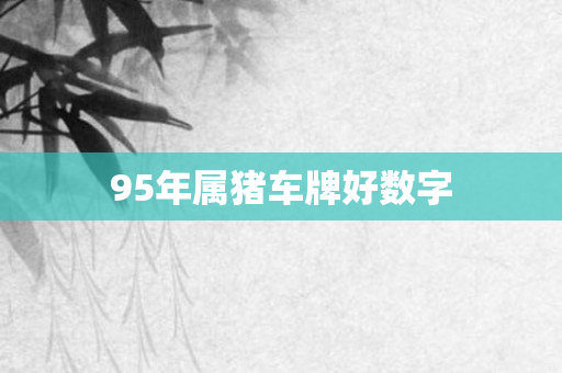 95年属猪车牌好数字