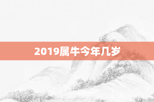 2019属牛今年几岁