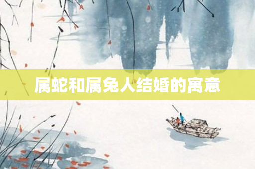 属蛇和属兔人结婚的寓意