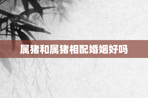 属猪和属猪相配婚姻好吗