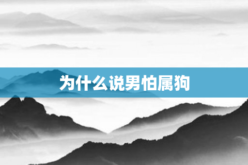 为什么说男怕属狗