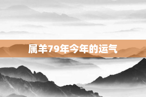 属羊79年今年的运气