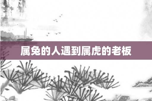 属兔的人遇到属虎的老板
