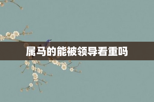 属马的能被领导看重吗