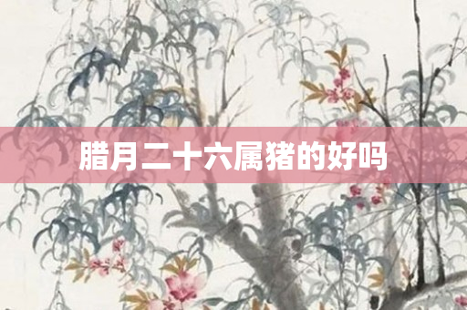 腊月二十六属猪的好吗