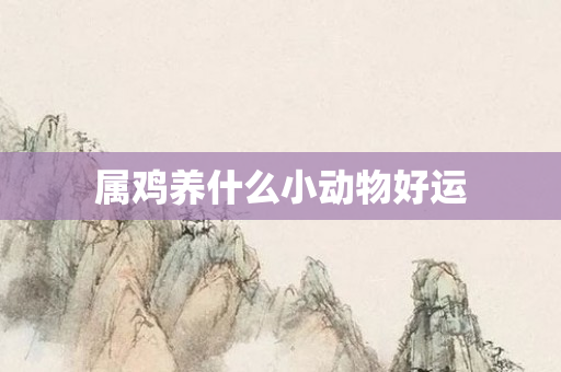 属鸡养什么小动物好运