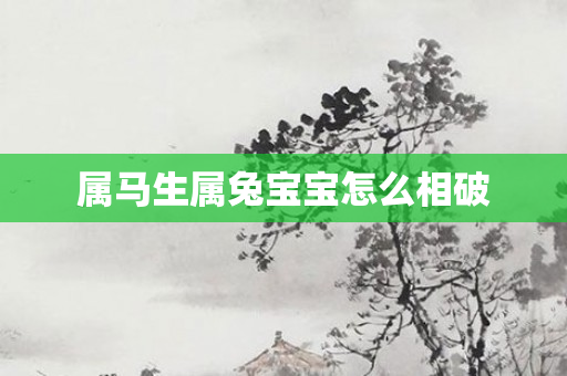 属马生属兔宝宝怎么相破