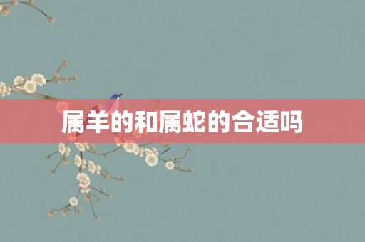 属羊的和属蛇的合适吗
