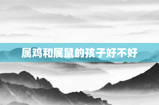 属鸡和属鼠的孩子好不好