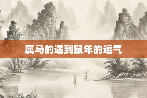 属马的遇到鼠年的运气