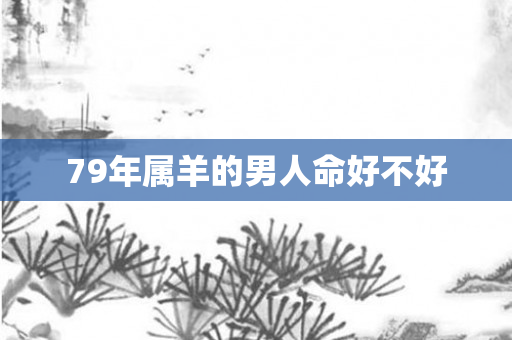 79年属羊的男人命好不好