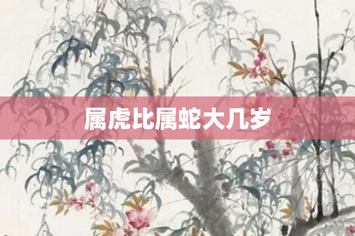属虎比属蛇大几岁