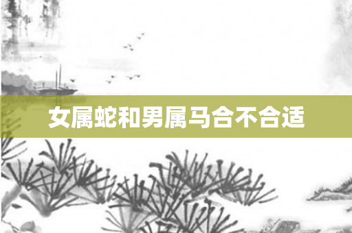 女属蛇和男属马合不合适