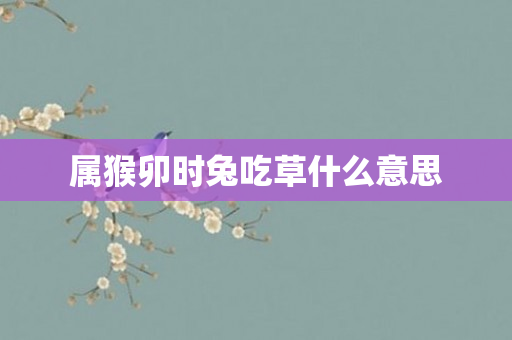 属猴卯时兔吃草什么意思