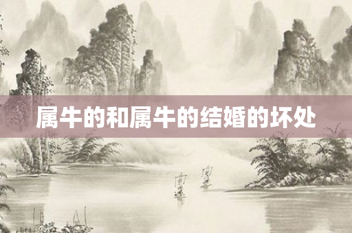 属牛的和属牛的结婚的坏处