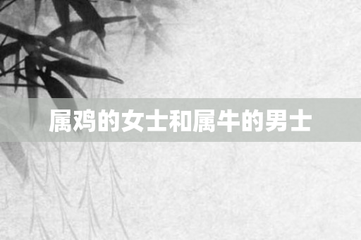 属鸡的女士和属牛的男士