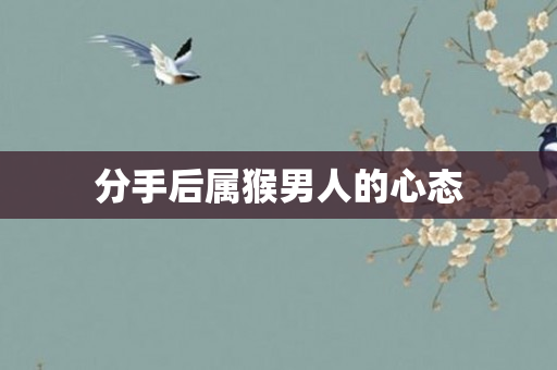 分手后属猴男人的心态