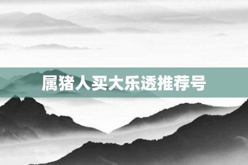 属猪人买大乐透推荐号